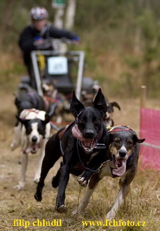 ME Esdra 2005 - 229.jpg